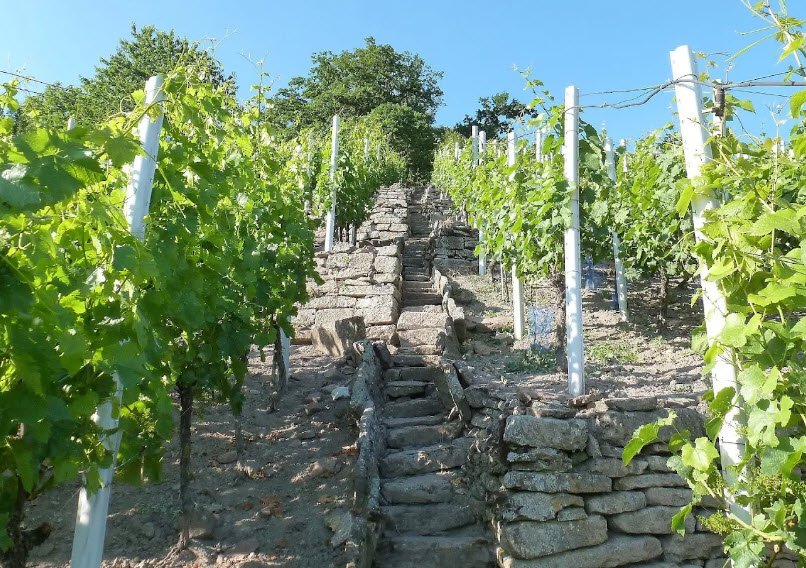 Burgruine Müneck, Germany